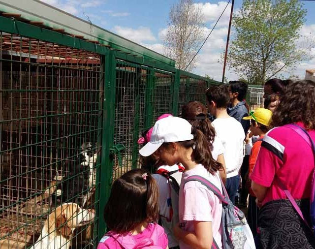 Malagón Los niños del Centro Joven visitaron la protectora de animales “San Francisco de Asís” y el vivero “Huerta de la Cañada”
