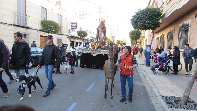 Manzanares celebró la festividad de San Antón