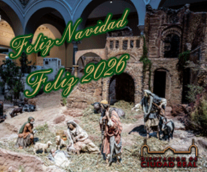 2campaña-navidad-250x300