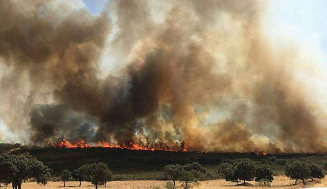 Piedrabuena Extinguido el incendio que ha quemado más de 150 hectáreas