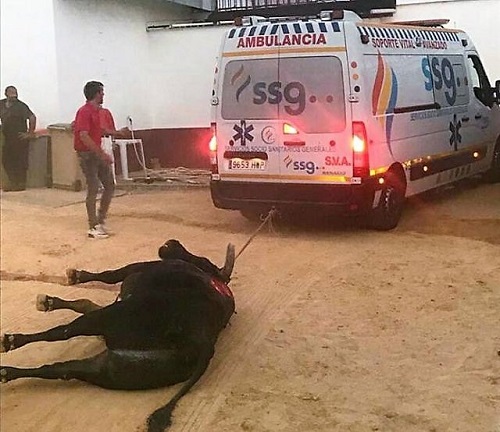 Arrastre de un toro con una ambulancia en un festejo taurino de la Feria y Fiestas 2018 de Valdepeñas