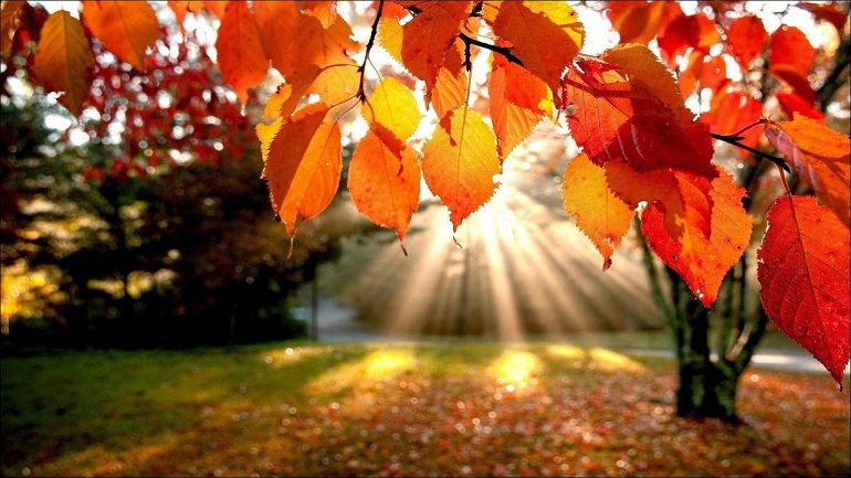 Este domingo comienza el otoño, estación climática que terminará el próximo 21 de diciembre