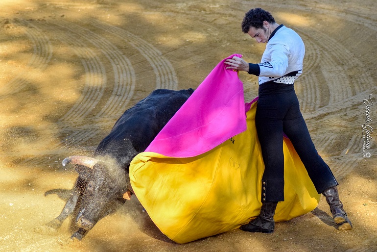 Ciudad Real: Los antitaurinos piden que se anulen los ...