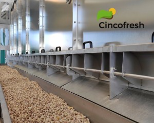 Cincofresh: “Ciudad Real se convertirá en un referente del pistacho, tanto en cantidad como en calidad”