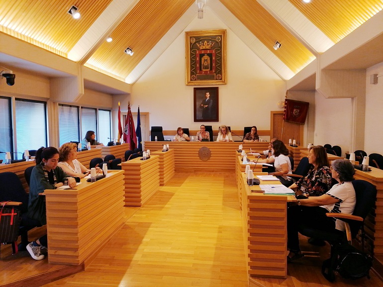 Ciudad Real El Consejo Local de la Mujer propone la renovación de los estatutos, renueva la Comisión Permanente