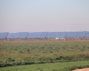 Julián Nieva estudia instalar una planta solar exclusiva para Manzanares