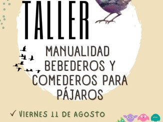 Ciudad Real Taller de manualidades, Creando bebederos y comederos para pájaros