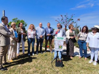 La Diputación de Ciudad Real celebra el Día del Donante Un árbol que salva vidas y representa la solidaridad