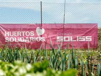 Los Huertos Solidarios de la Fundación Soliss