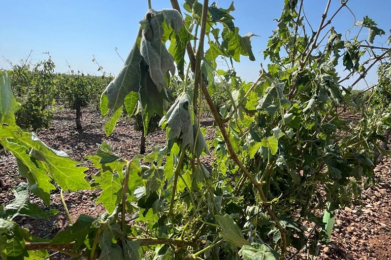 Se evalúan los daños que la tormenta de agua y granizo causó en la tarde de ayer en la provincia