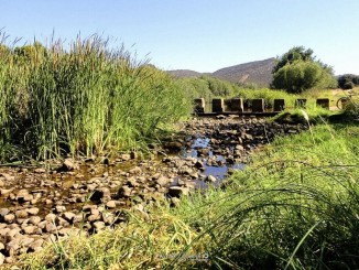 El Río Bullaque agoniza a pesar de que la CHG ha comenzado a realizar aportaciones adicionales desde el embalse de Torre de Abraham