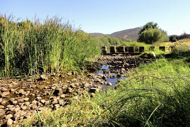 El Río Bullaque agoniza a pesar de que la CHG ha comenzado a realizar aportaciones adicionales desde el embalse de Torre de Abraham