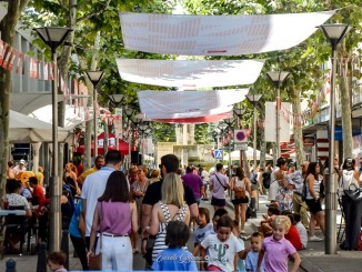 Arranca la Feria y Fiestas 2024 de Ciudad Real Una semana repleta de actividades para todos los gustos y para todas las edades