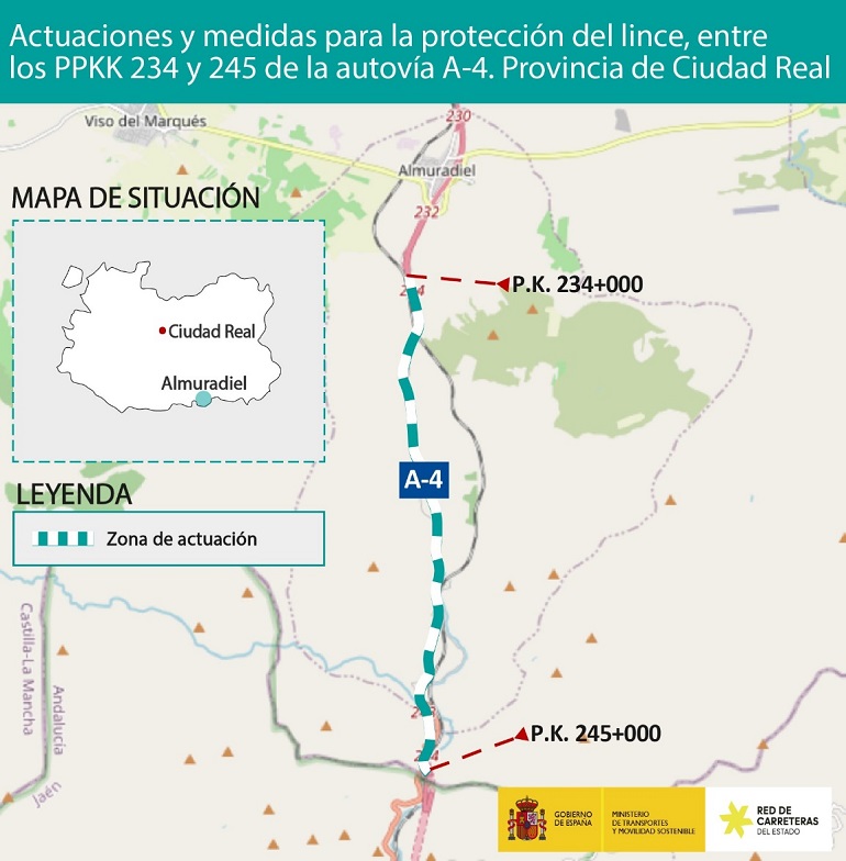 Transportes aprueba definitivamente el proyecto de construcción para proteger al lince ibérico en la autovía A-4, entre Despeñaperros y Almuradiel