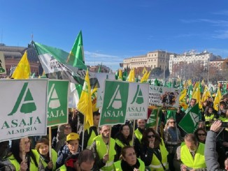 El campo español se levanta en armas contra el Mercosur Miles de agricultores y ganaderos protestan en Madrid