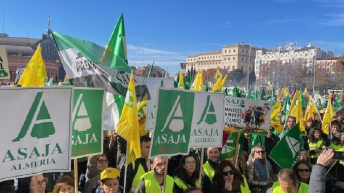 El campo español se levanta en armas contra el Mercosur Miles de agricultores y ganaderos protestan en Madrid