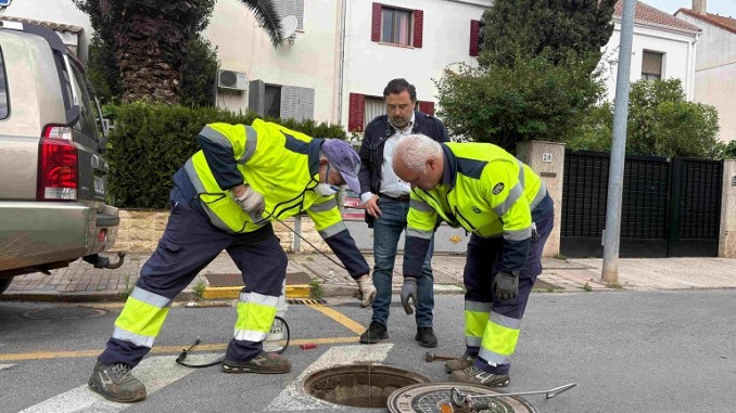 Alerta en Ciudad Real Cucarachas voladoras obligan a extremar medidas en el barrio Puerta de Santa María