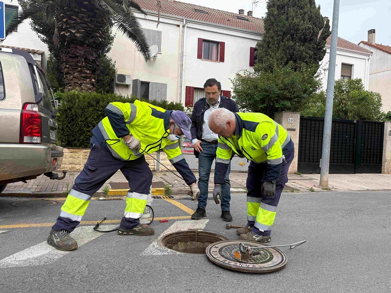 Alerta en Ciudad Real Cucarachas voladoras obligan a extremar medidas en el barrio Puerta de Santa María