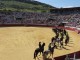 Más de 2.500 escolares vibran con la espectacular exhibición de la Guardia Civil en Puertollano “Hoy sembramos vocaciones”