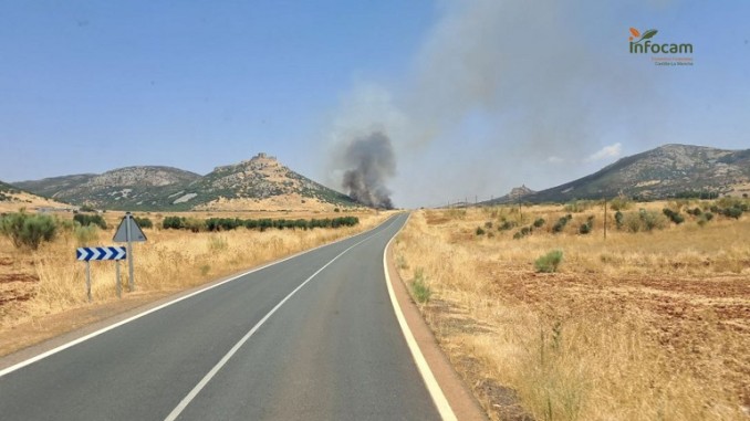 Controlado el incendio en Aldea del Rey tras cuatro horas de lucha con 38 efectivos