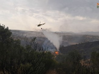 Extinguido el incendio forestal declarado en Horcajo de los Montes gracias a la rápida intervención del dispositivo Infocam