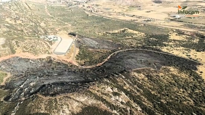 Controlado el incendio forestal cercano al Polígono Industrial La Nava de Puertollano
