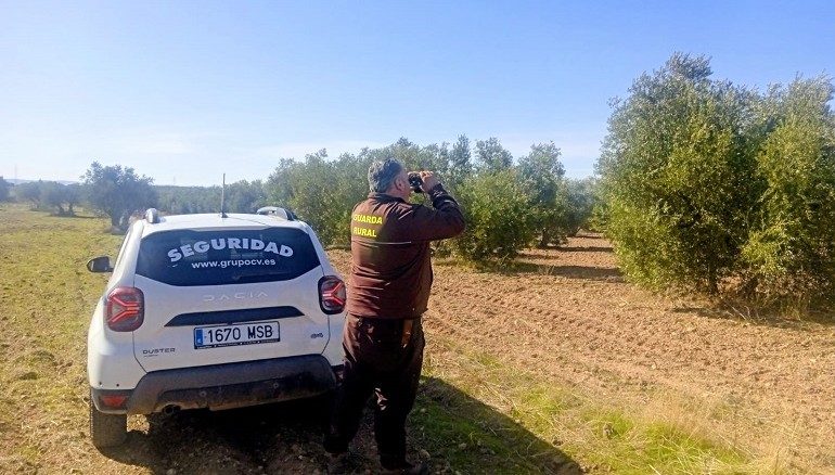Torralba triplica la vigilancia rural para evitar robos en la campaña de la aceituna