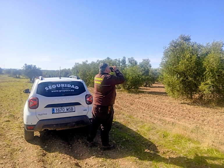 Torralba triplica la vigilancia rural para evitar robos en la campaña de la aceituna