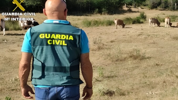 ¡Basta ya! ASAJA lanza un llamamiento de socorro Los robos paralizan el sector primario de Ciudad Real