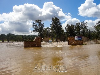 Cierre urgente del colegio en Luciana por la crecida del Guadiana y el Bullaque