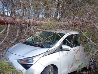 Fotografía: Ángel Valencia