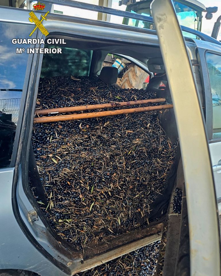 La Guardia Civil aprehende casi dos toneladas de aceituna presuntamente sustraída en Ciudad Real