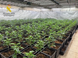 Así producían droga en solo 90 días en una urbanización de Almodóvar del Campo