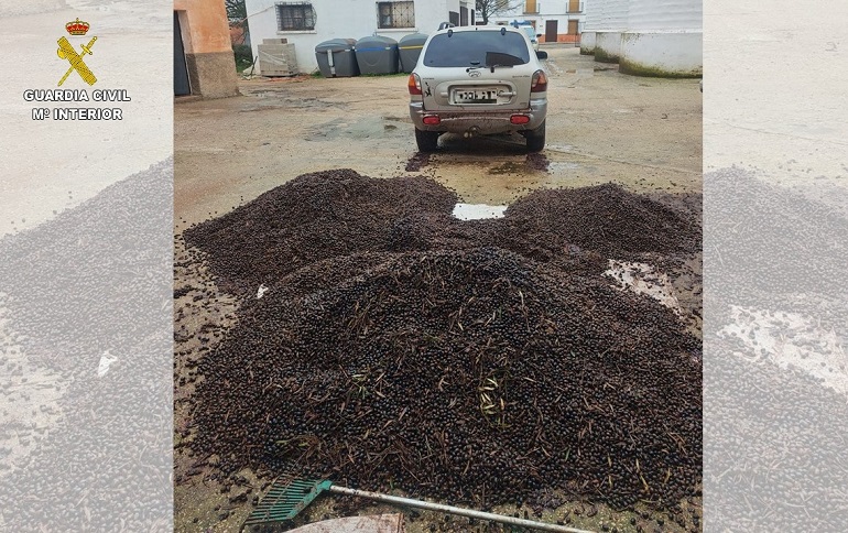 La Guardia Civil desarticula una banda que saqueaba olivares en Ciudad Real