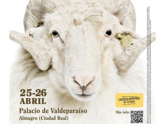 Almagro se convierte en el centro nacional de la ganadería con el RoadShow Bestiarium (2)