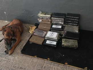 La USECIC de Ciudad Real descubre 46 kilos de cocaína en una furgoneta en Manzanares