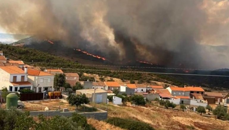 El devastador incendio de Calzada de Calatrava obliga a desalojar Huertezuelas tras calcinar cerca de 390 hectáreas 770