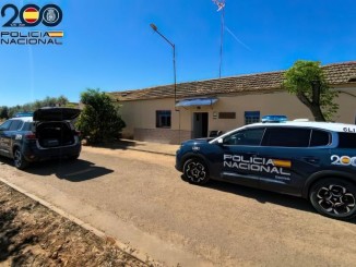 Golpe al narcotráfico en Ciudad Real la Policía Nacional desmantela una plantación con 512 plantas de marihuana en Malagón 770