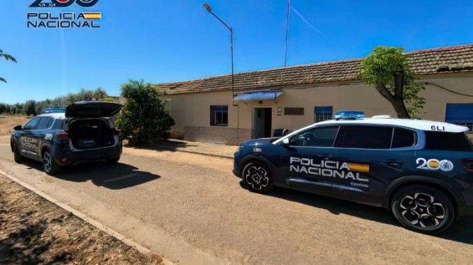 Golpe al narcotráfico en Ciudad Real la Policía Nacional desmantela una plantación con 512 plantas de marihuana en Malagón 770