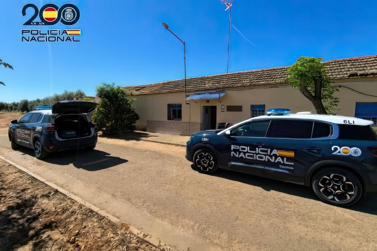Golpe al narcotráfico en Ciudad Real la Policía Nacional desmantela una plantación con 512 plantas de marihuana en Malagón 770