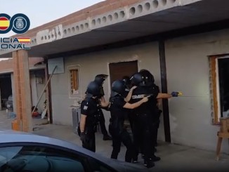 Golpe al narcotráfico en Ciudad Real la Policía Nacional rescata una veintena de animales en una finca con casi 1.000 plantas de marihuana 770