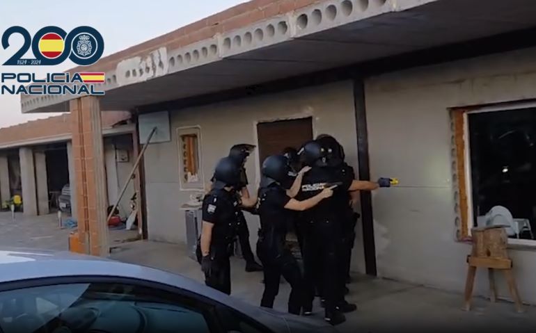 Golpe al narcotráfico en Ciudad Real la Policía Nacional rescata una veintena de animales en una finca con casi 1.000 plantas de marihuana 770