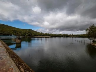 La CHG restablece la captación superficial en el embalse de Gasset y garantiza agua de mayor calidad para más de 100.000 vecinos 770