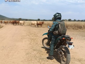 Ciudad Real el SEPRONA investiga a 21 personas y registra 26 delitos contra el medio ambiente en solo seis meses 770