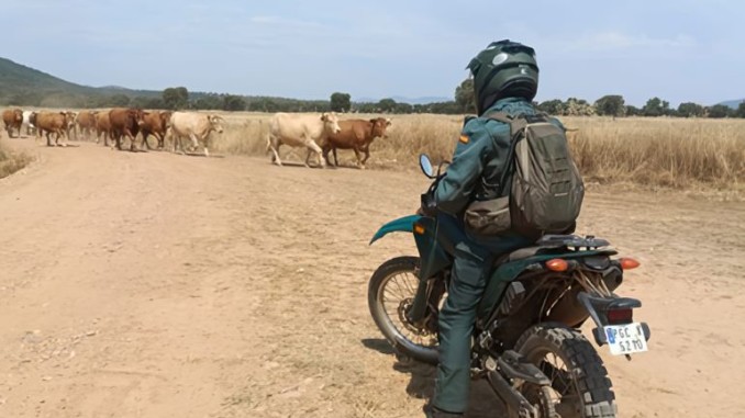 Ciudad Real el SEPRONA investiga a 21 personas y registra 26 delitos contra el medio ambiente en solo seis meses 770
