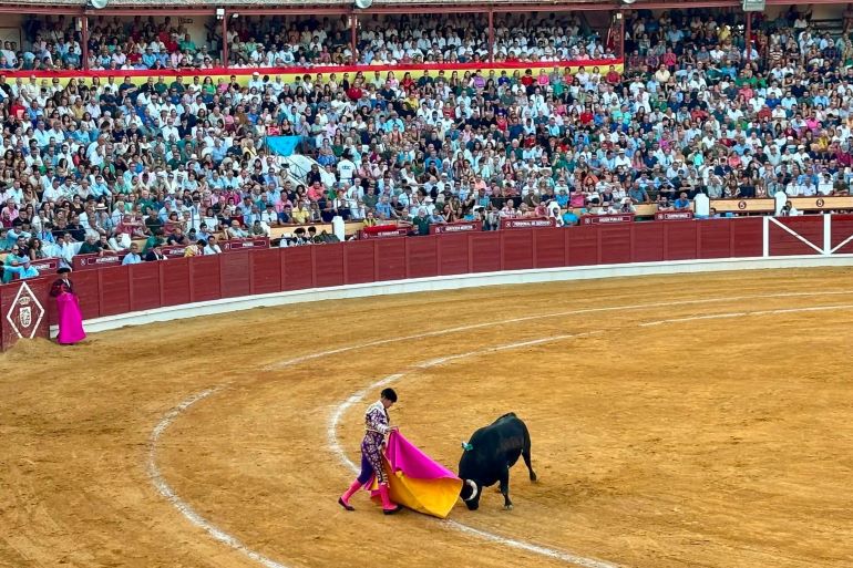 Fotografía: Francisco Malagón Quesada