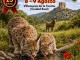 MENCATUR 2026 convertirá Villanueva de la Fuente en la gran capital del turismo rural, la caza y la artesanía de Castilla-La Mancha 770