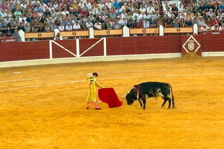 Fotografía: Francisco Malagón Quesada